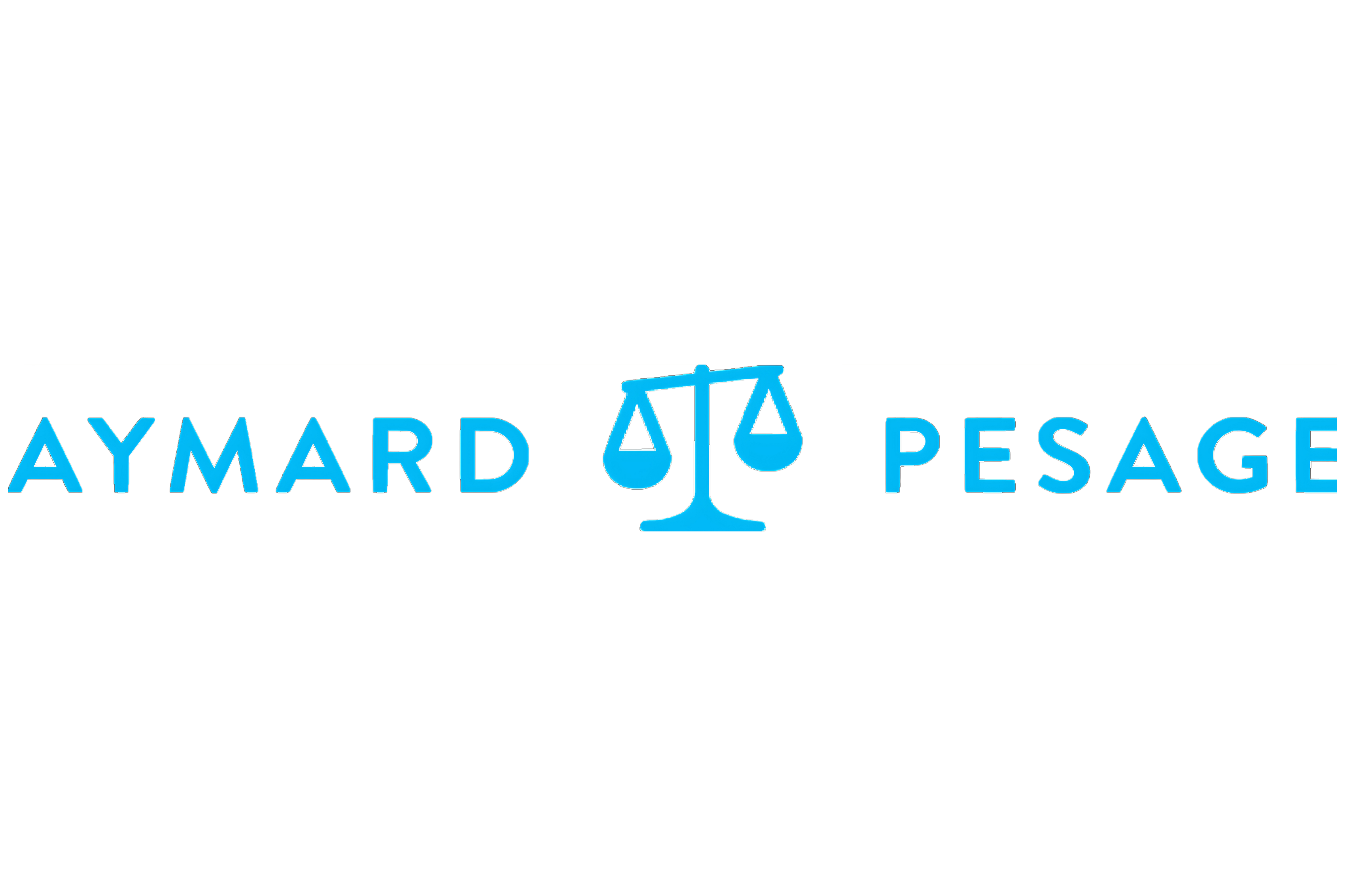 Logo de la société Aymard Pesage. Ancien nom du Groupe Aymard.